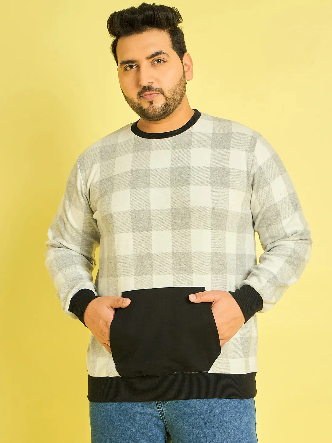 Men Plus Size Dobrovo Checks Sweatshirts