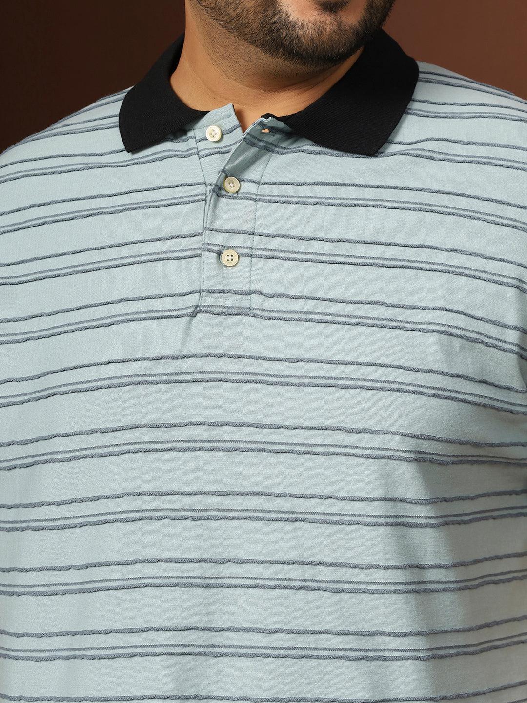Men Plus Size Plynet Striped Multi Polo Tshirt - Image 7