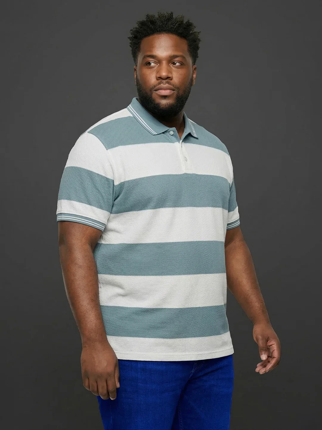 Men Plus Size Seabreeze Multicolor Textured Polo Tshirt - Image 3