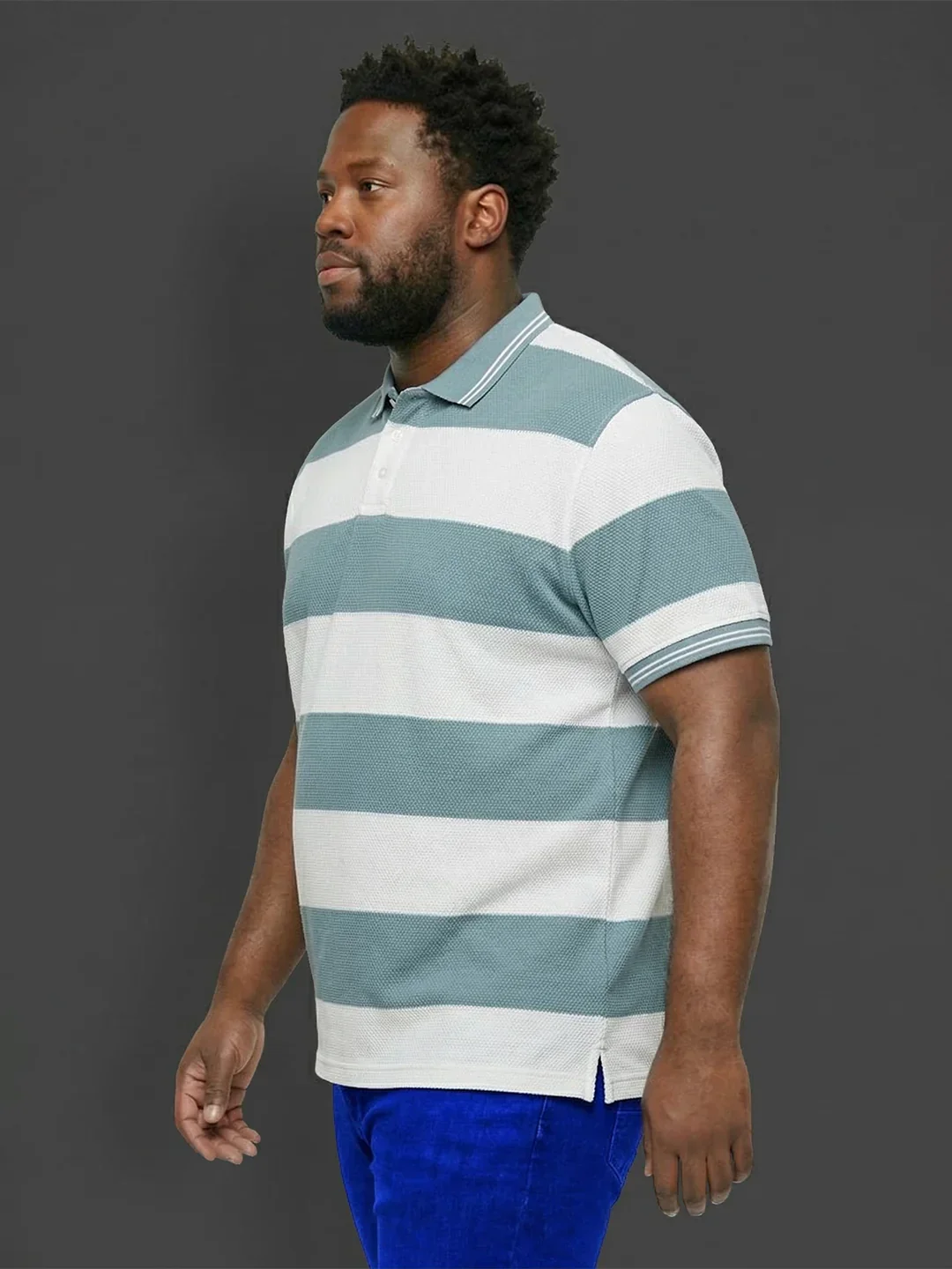 Men Plus Size Seabreeze Multicolor Textured Polo Tshirt - Image 4