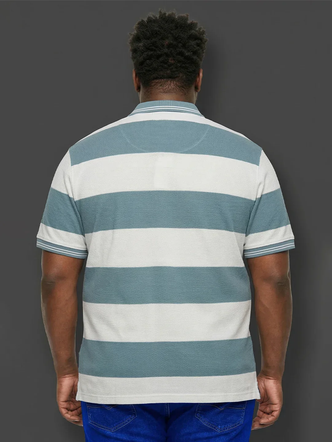 Men Plus Size Seabreeze Multicolor Textured Polo Tshirt - Image 5