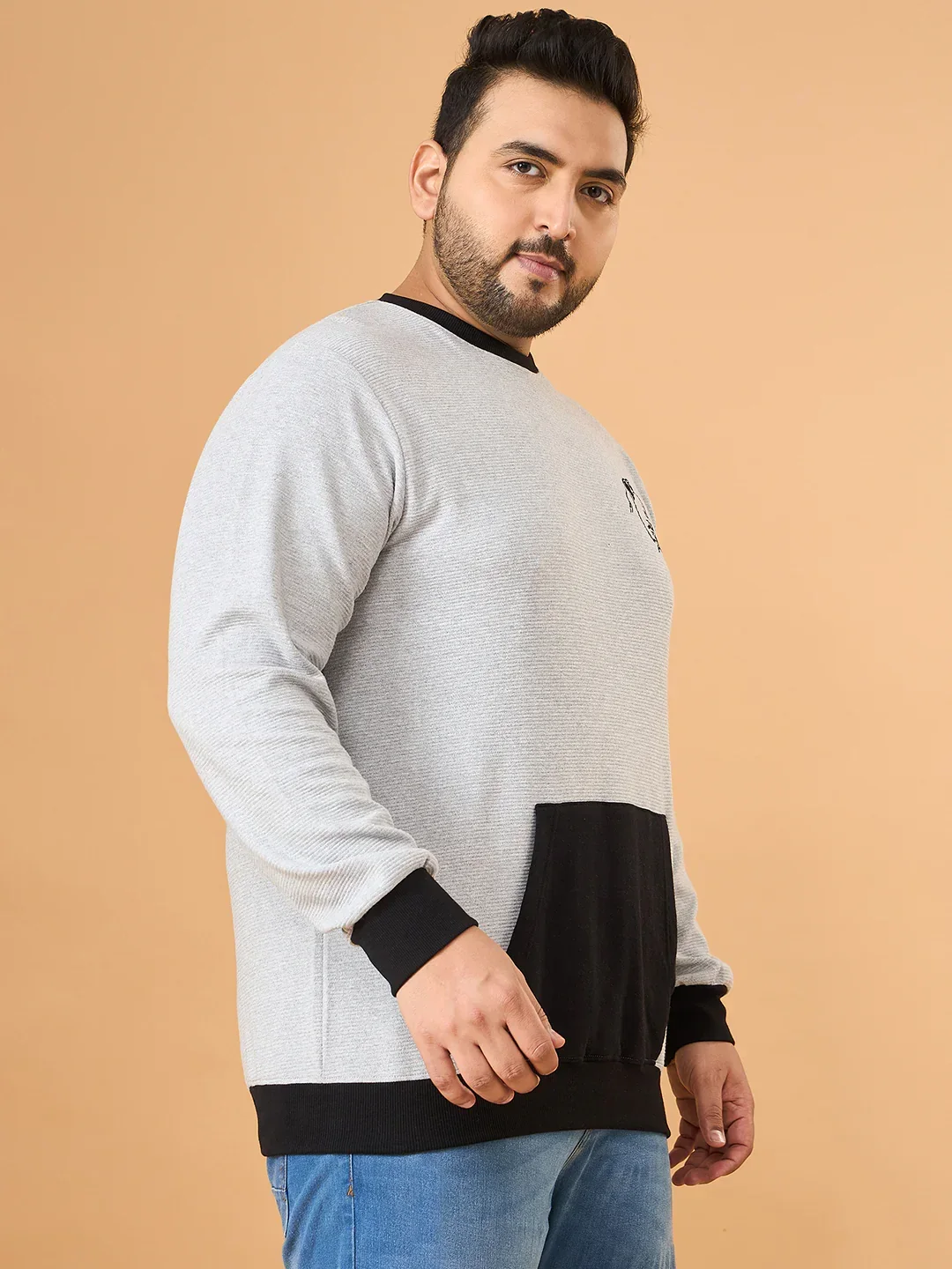 Men Plus Size Whiska Colorblock Sweatshirt - Image 5